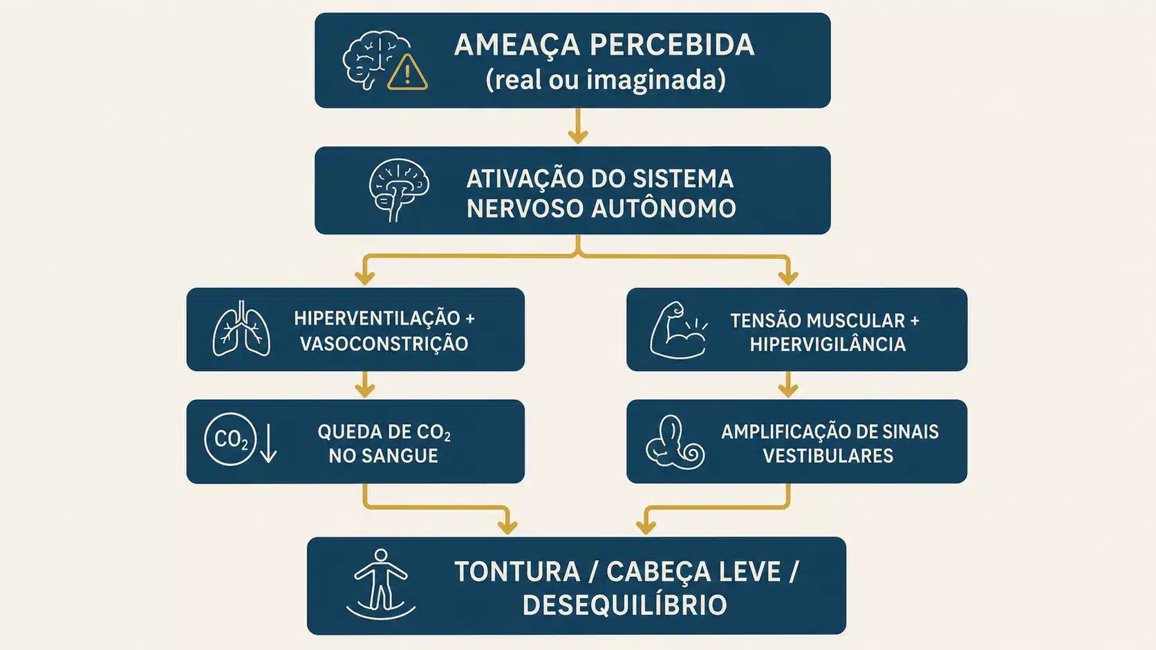 Diagrama mostrando o mecanismo pelo qual a ansiedade causa tontura: do sistema nervoso autônomo à alteração do processamento vestibular