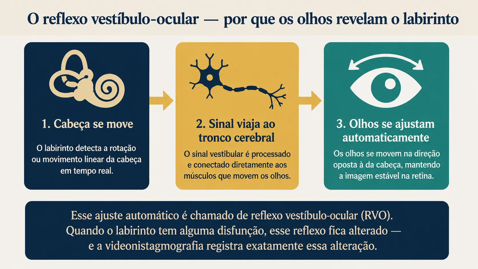 Diagrama em três etapas mostrando o reflexo vestíbulo-ocular: o labirinto detecta movimento da cabeça, envia sinal ao tronco cerebral e os olhos se ajustam automaticamente — base do exame de videonistagmografia