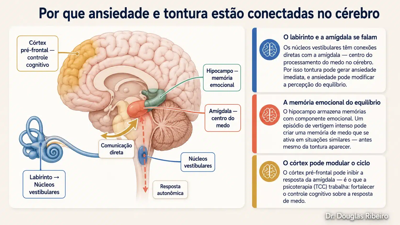 Diagrama anatômico mostrando as conexões entre os núcleos vestibulares, a amígdala e o hipocampo, explicando a base neuroanatômica da relação entre tontura e ansiedade